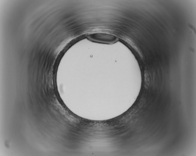 X0000099550972200806131208