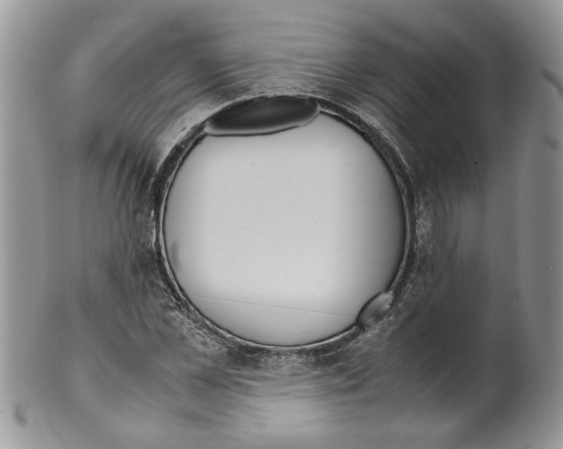 X0000099550973200806131208