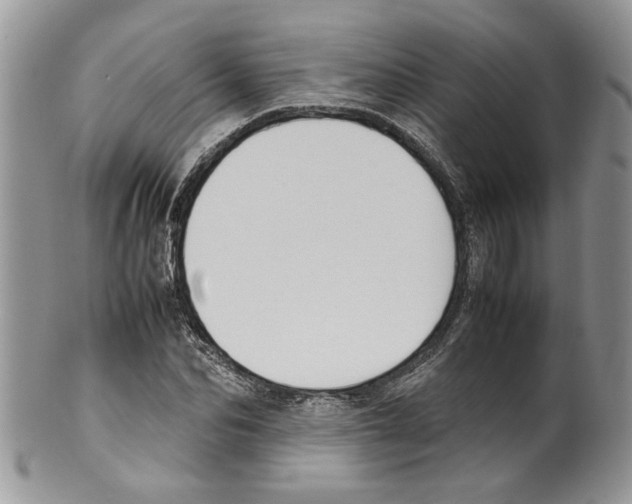 X0000099550974200806131208