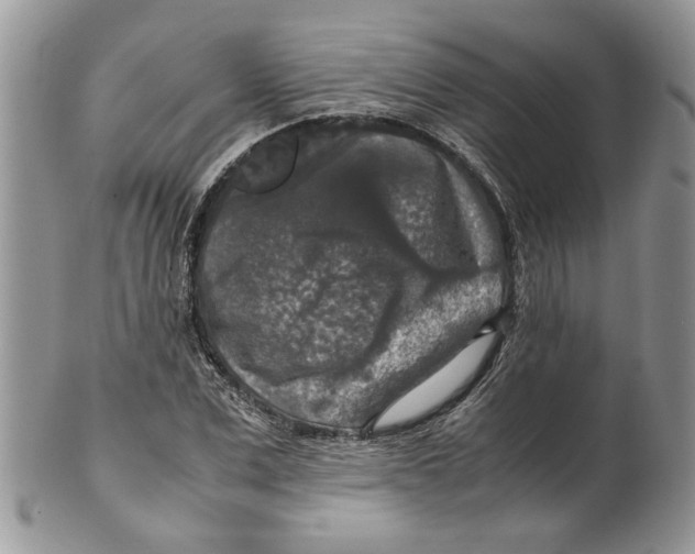 X0000099550975200806131208