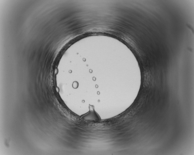 X0000099550976200806131208