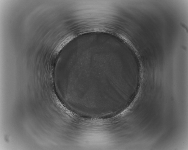 X0000099550977200806131208