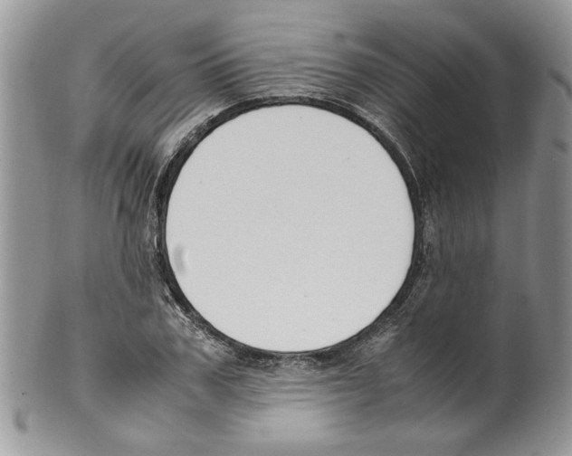 X0000099550979200806131208