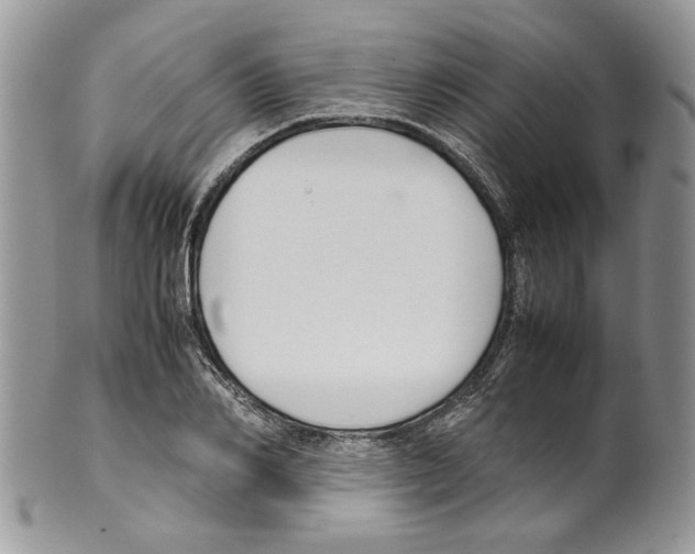 X0000099550982200806131208