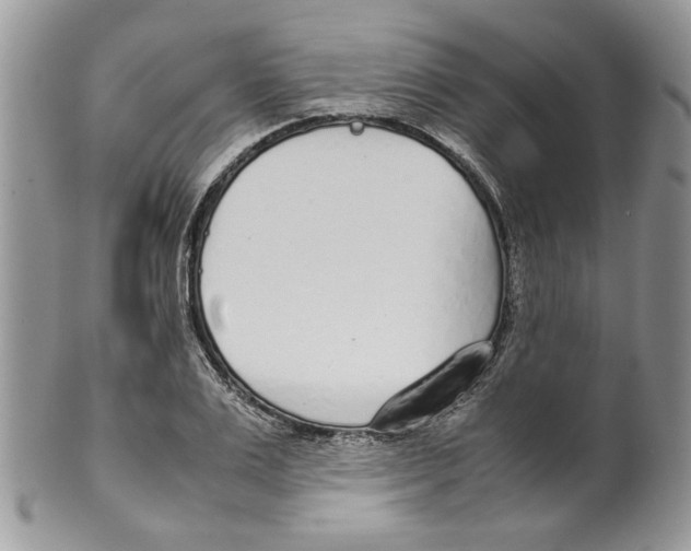 X0000099550983200806131208