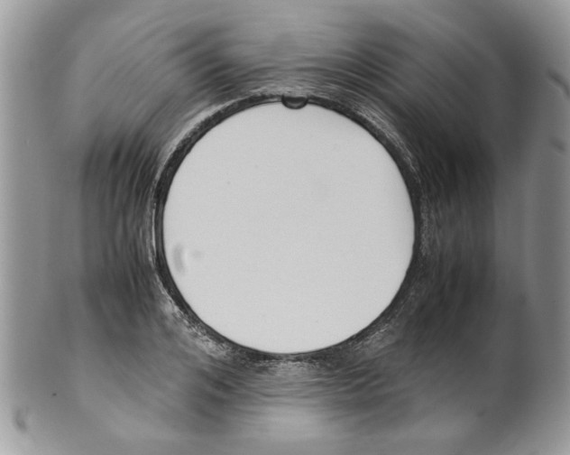 X0000099550984200806131208