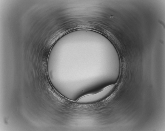 X0000099550985200806131208