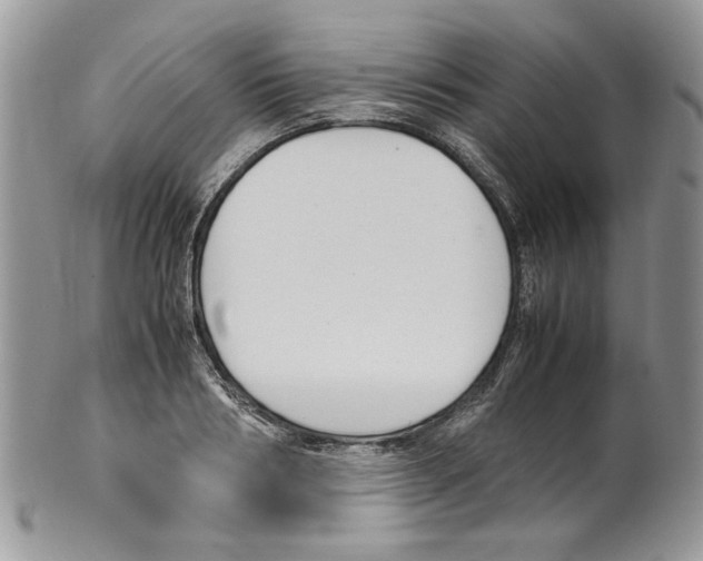 X0000099550986200806131208