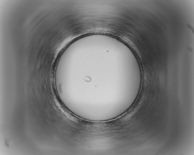 X0000099550989200806131208