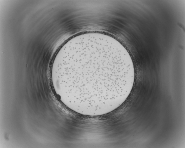 X0000099550990200806131208