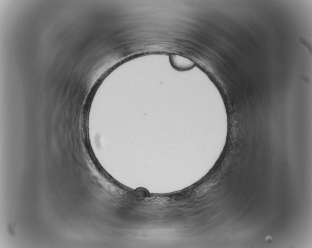 X0000099550991200806131208