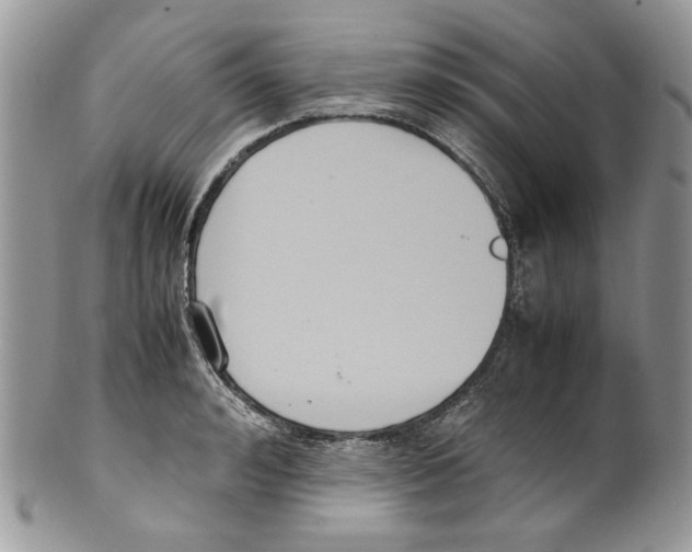 X0000099550992200806131208