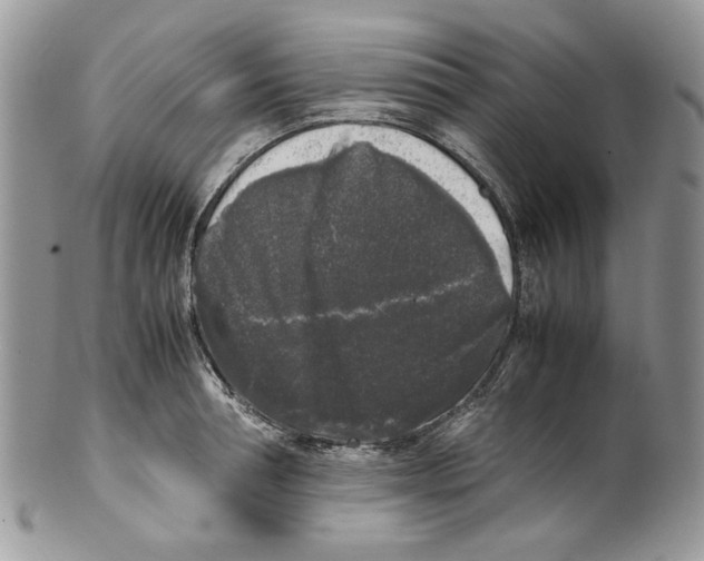 X0000099550994200806131208