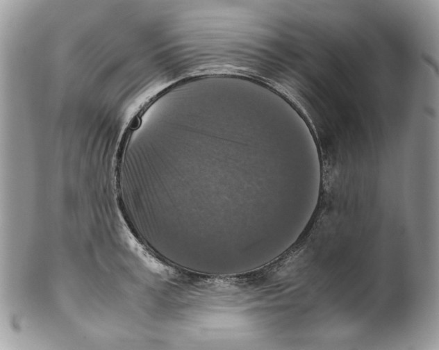 X0000099550995200806131208