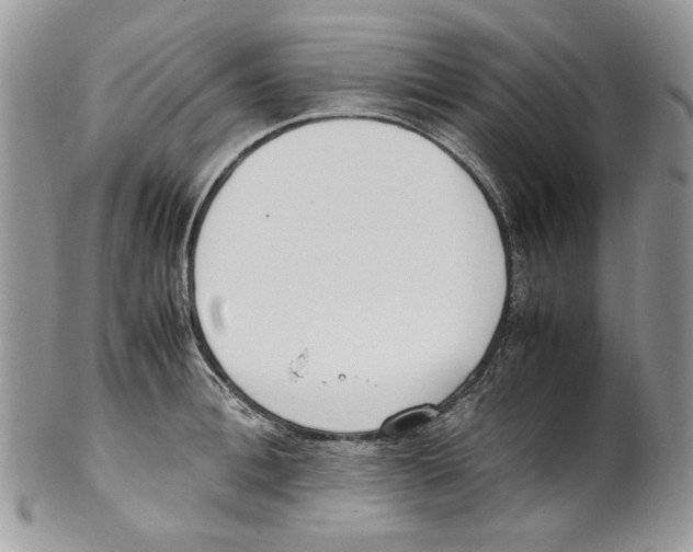 X0000099550996200806131208