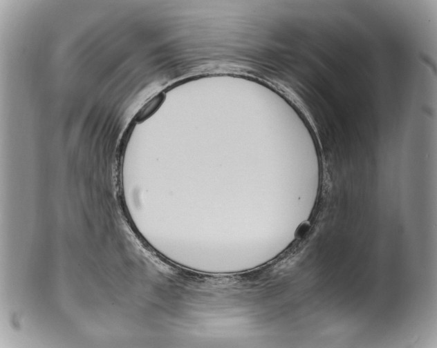 X0000099550997200806131208