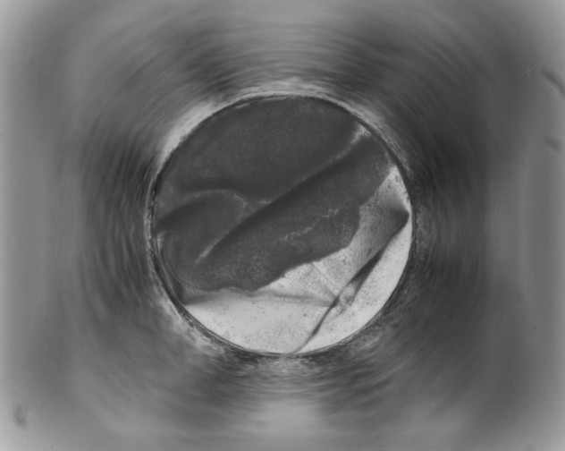 X0000099550998200806131208