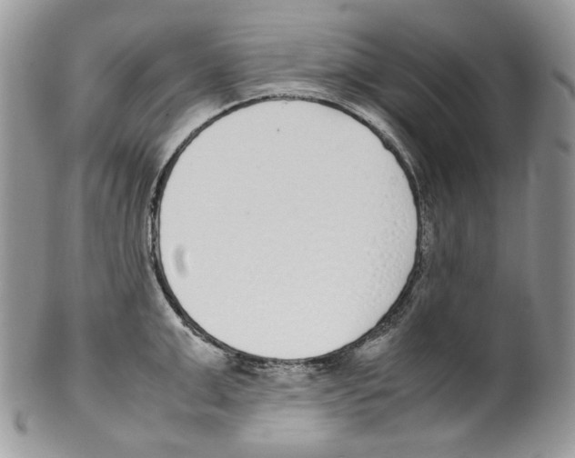 X0000099550999200806131208