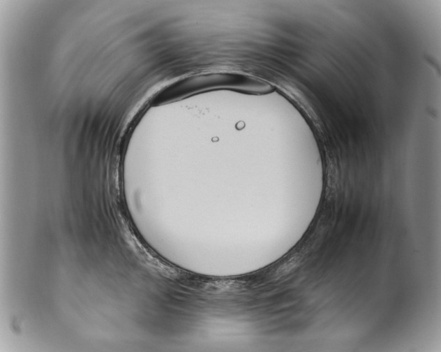 X0000099551000200806131208