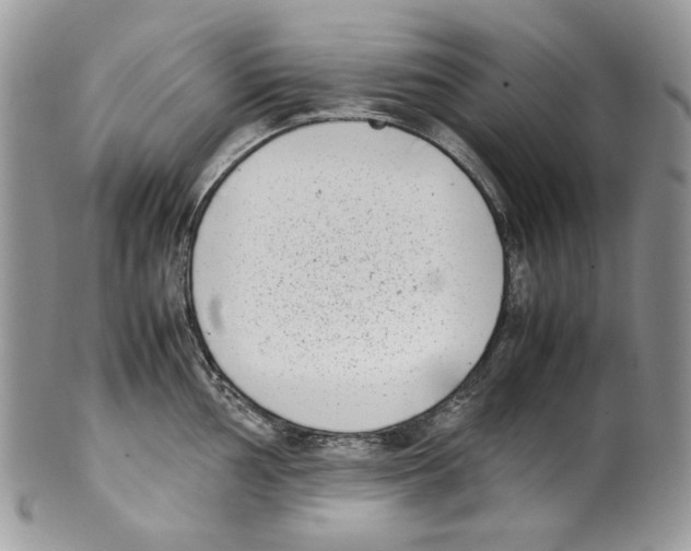 X0000099551002200806131208