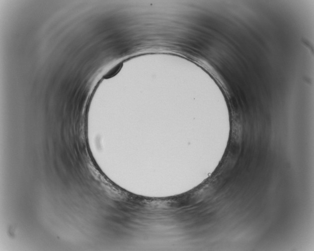 X0000099551004200806131208