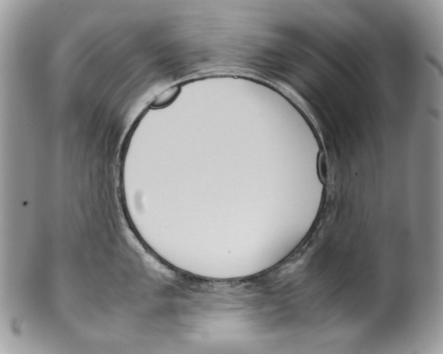 X0000099551005200806131208