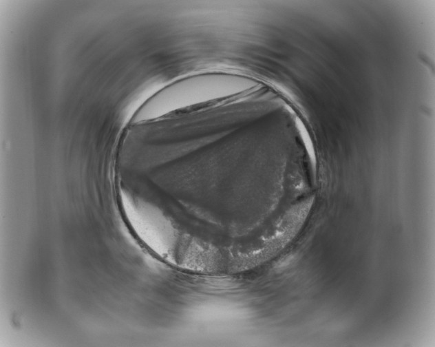 X0000099551007200806131208