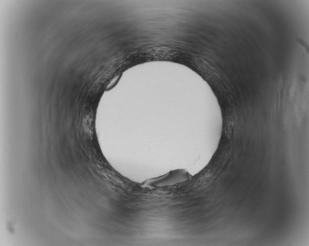 X0000099551010200806131207