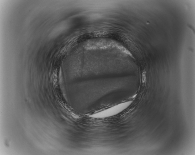 X0000099551011200806131207