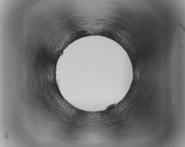 X0000099551012200806131207