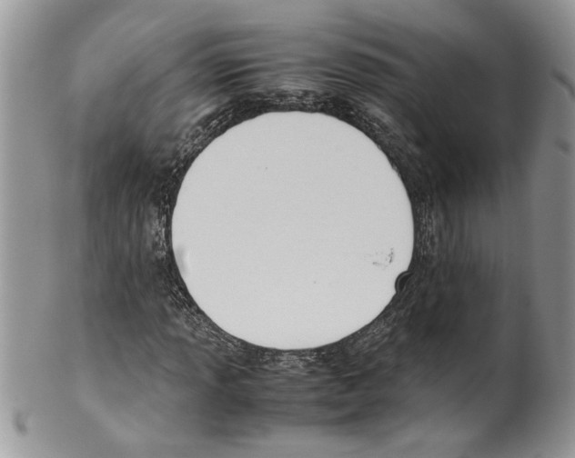 X0000099551013200806131207