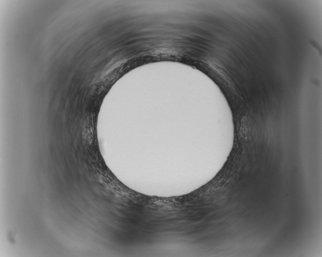 X0000099551015200806131207