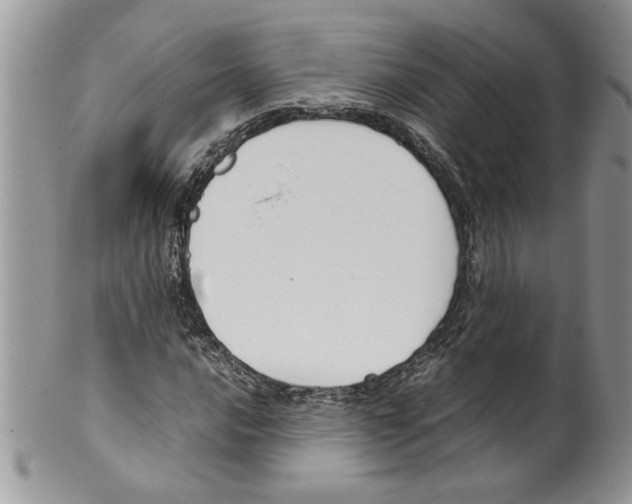 X0000099551016200806131207