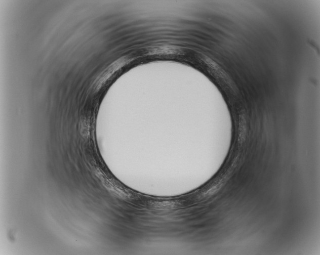 X0000099551017200806131207