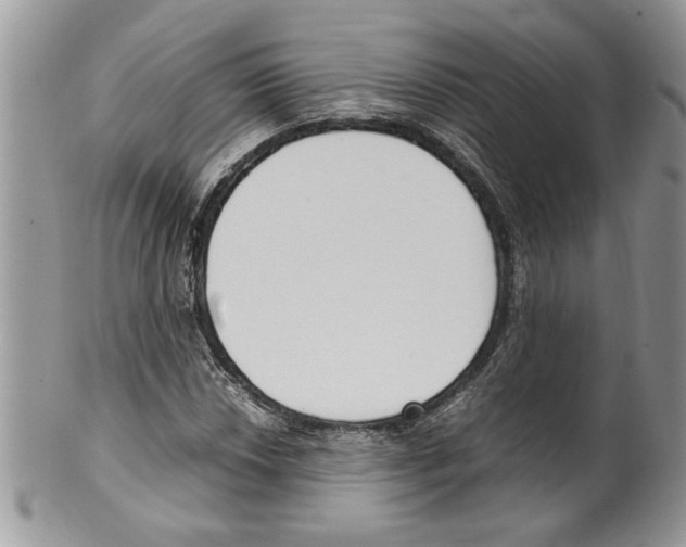 X0000099551018200806131207