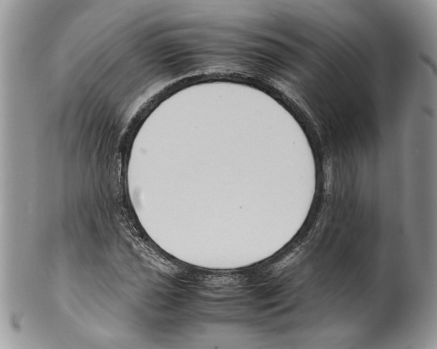 X0000099551021200806131207