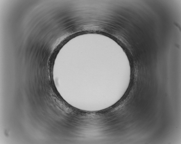 X0000099551022200806131207