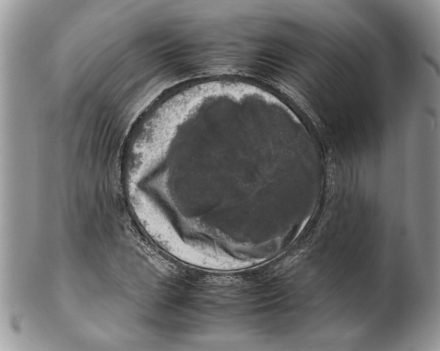 X0000099551023200806131207