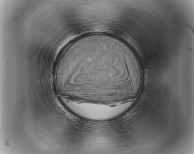 X0000099551024200806131207