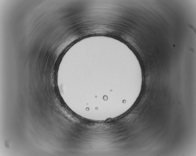 X0000099551026200806131207