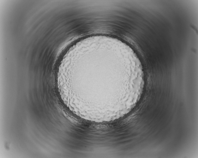 X0000099551027200806131207