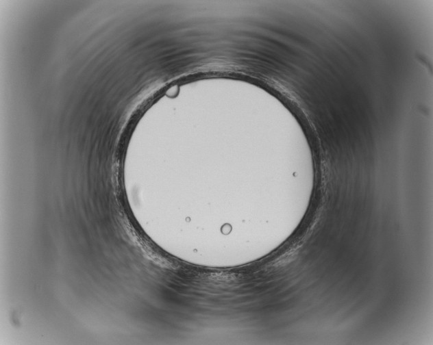 X0000099551029200806131207