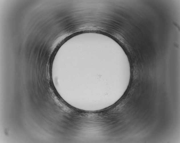 X0000099551030200806131207