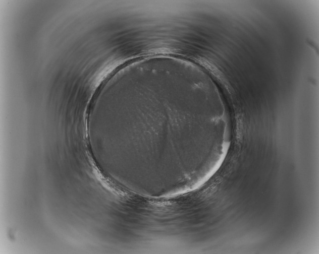 X0000099551031200806131207