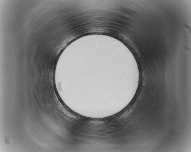 X0000099551033200806131207