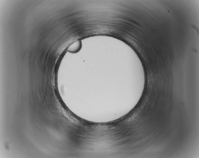 X0000099551034200806131207