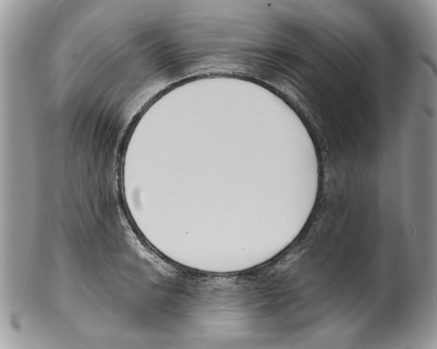 X0000099551038200806131208