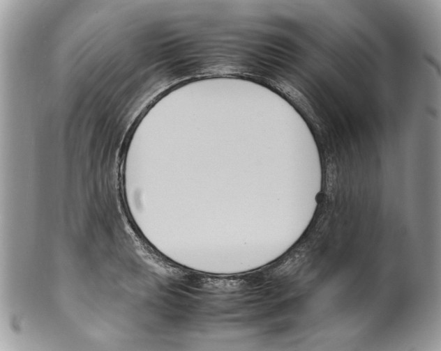 X0000099551039200806131208