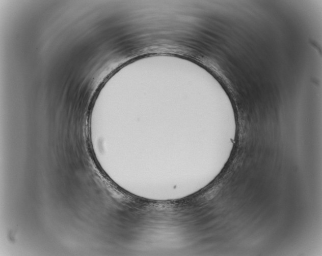 X0000099551040200806131208