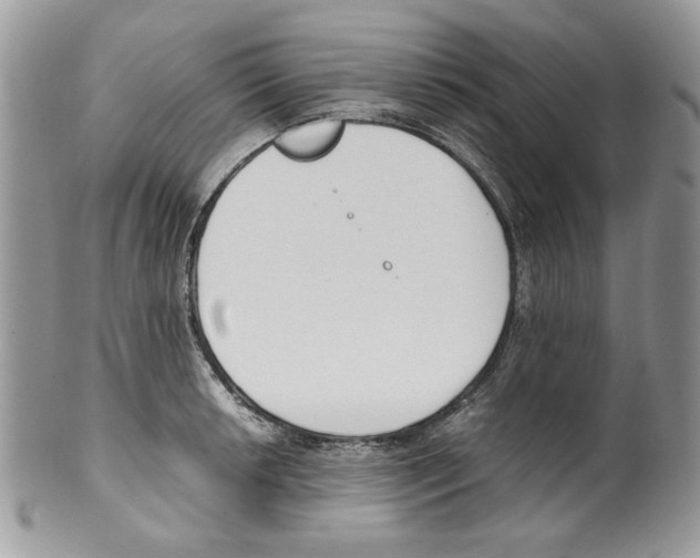 X0000099551042200806131208